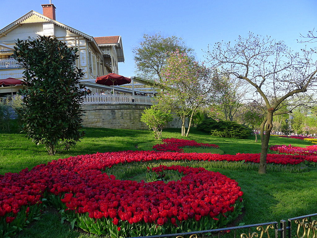 l Tulip time in Istanbul